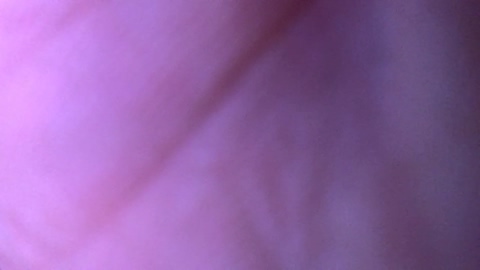 S8577090  24-05-2022